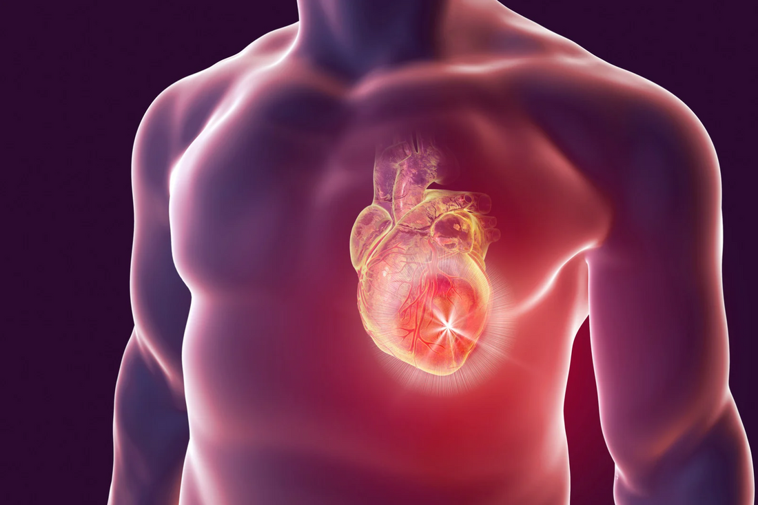 Pickleball for Cardiovascular Health: Why the Sport Is a Great Workout - GATORSTRIKE