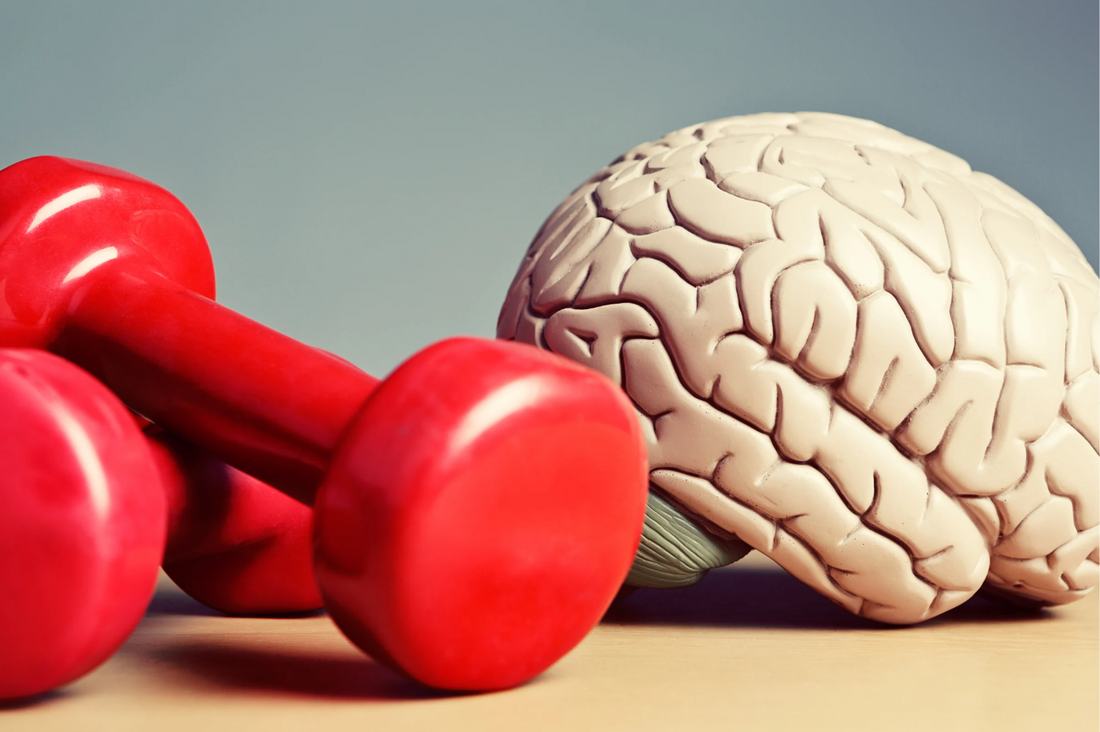 The Mental Game: Developing Focus and Resilience in Pickleball - GATORSTRIKE