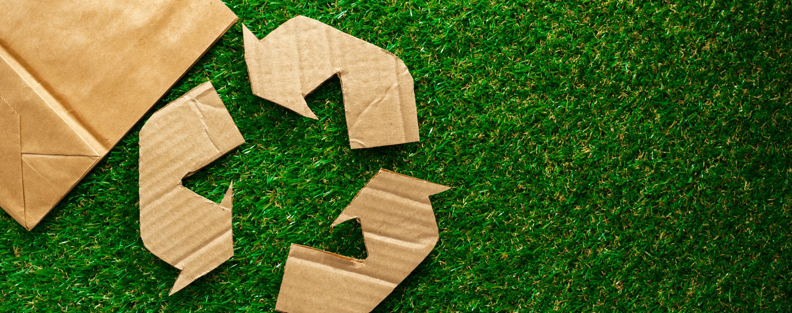 Eco-Friendly Pickleball: Sustainable Gear and Green Court Design